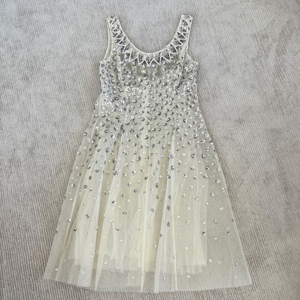 Christian Dior Embellished Silver Tulle Dress